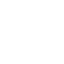 faultLine logo image